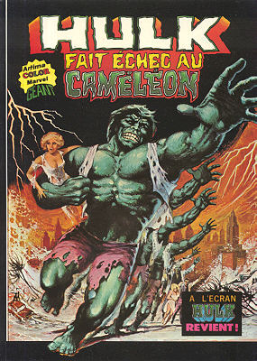 Hulk Géant 04