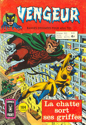 Vengeur 13