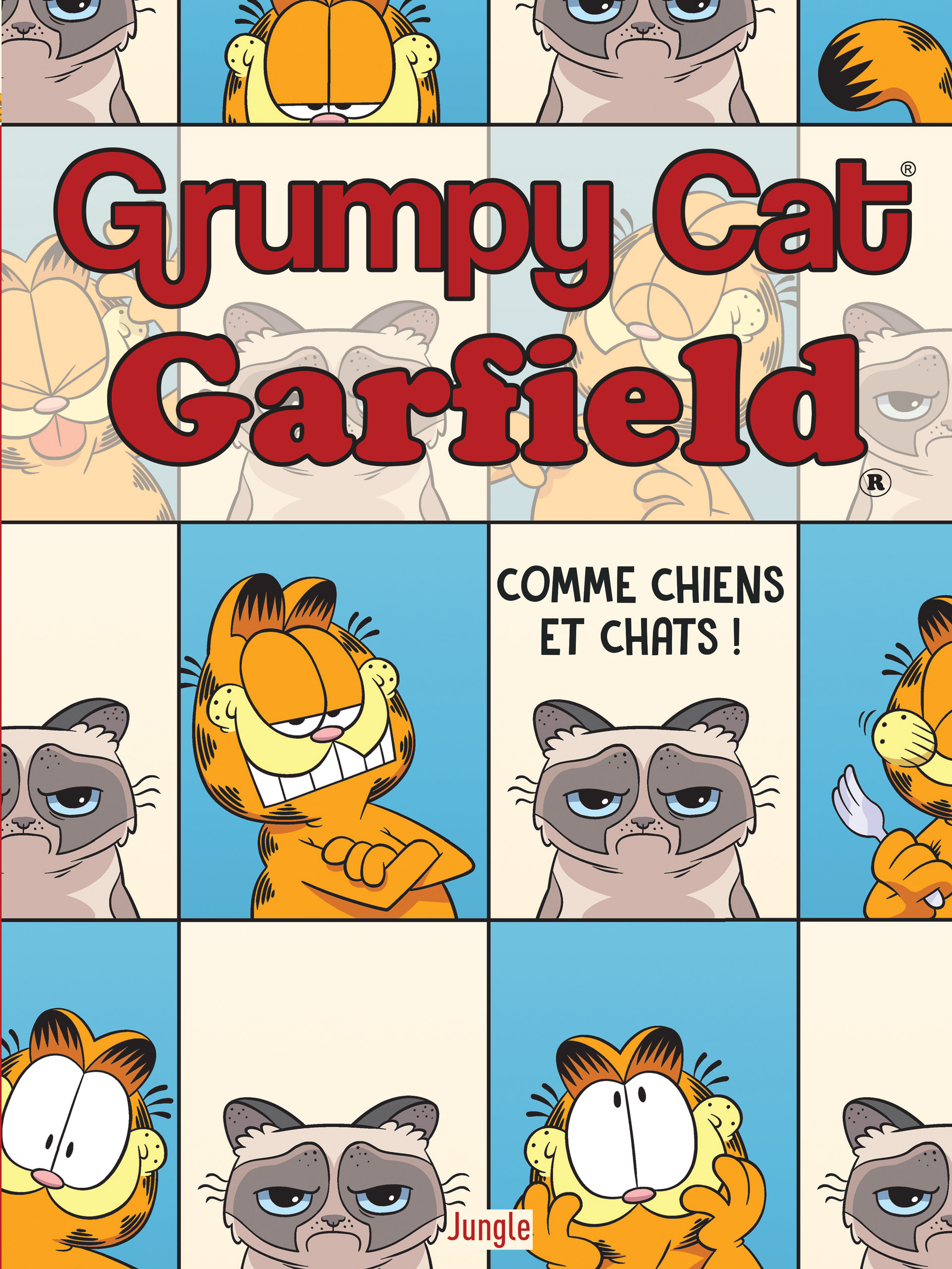 Garfield Contre Grumpy Cat