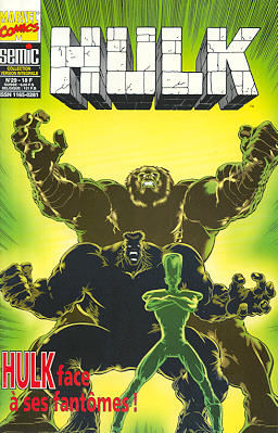 Hulk 29