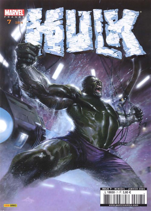 Hulk 7