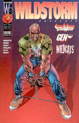 Wildstorm 3