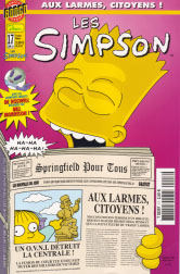 Les Simpson 17
