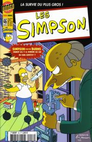 Les Simpson 46