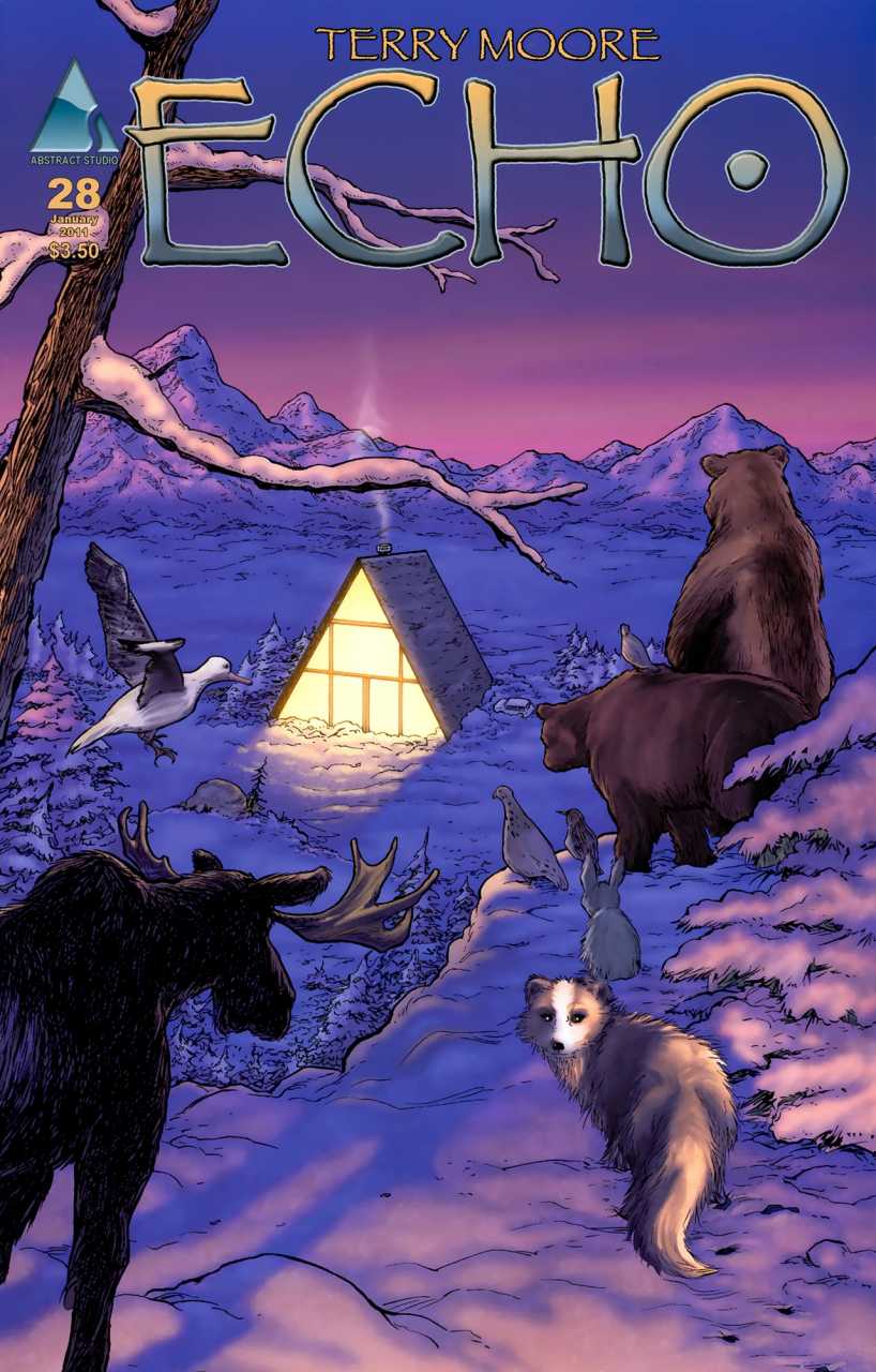 Echo #28
