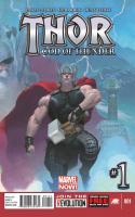 Thor: God Of Thunder (2012-2014)