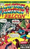 The Trial Of The Falcon!