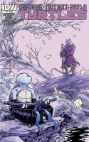 Teenage Mutant Ninja Turtles #31