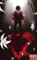 X-Men : Magneto Testament