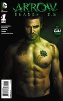 Arrow Season 2.5