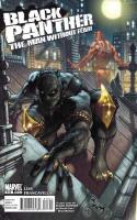 Black Panther: The Man Without Fear (2011)