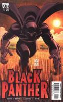 Who Is The Black Panther ?, Part 1