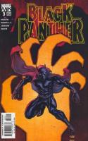 Who Is The Black Panther ?, Part 3