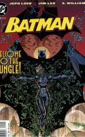 Batman Hush Chapter Four : The City
