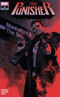 The Punisher (2018)