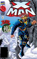 The Man Who Fell To Earth