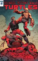 Teenage Mutant Ninja Turtles #87