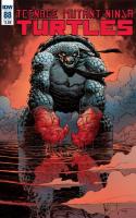 Teenage Mutant Ninja Turtles #88