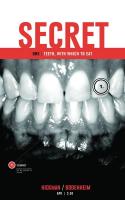 Secret (2012)