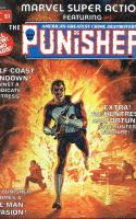 One-shots & Mini-Séries Punisher