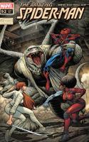 Beyond Chapter 18