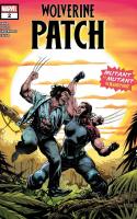Patch Chapter 2