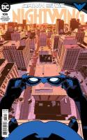 You Are Nightwing