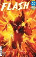 Absolute Flash (2025)