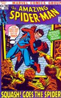 Squash! Goes The Spider!