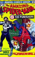 The Punisher Strikes Twice !