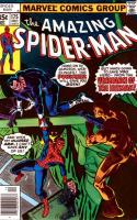 Big Apple Battleground!