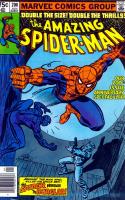 The Spider And The Burglar