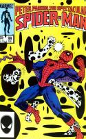 Spider On The Spot!