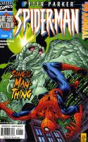 Peter Parker, Spider-Man (1999-2003)