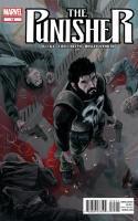 Punisher #15
