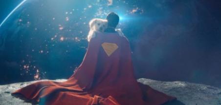 Superman ou l'effet Krypto : un boom des adoptions de chiens ?
