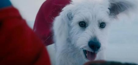 Nous sommes passés à deux doigts d'un film Krypto avec Superman en personnage secondaire
