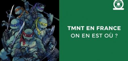 Les Tortues Ninja en France : on en est où ?