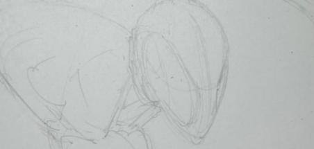 Greg Capullo sur un projet Spider-Man ou Venom