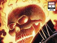 Ghost Rider s'offre plusieurs variant covers